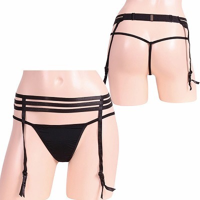 �􉽊w���C���K�[�^�[���s�o�b�N�Z�b�g�i�����W�F���[�j