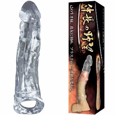 �L���̖�]�@�i�N���A�j�i�j���⏕�O�b�Y�j