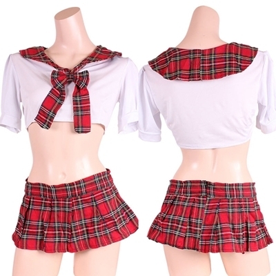 �^�[�^���`�F�b�N�ł����Ɖ���������Z�[���[���Z�b�g�i�R�X�`���[���j