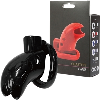 �`�F�X�e�e�B�P�[�W�@�i�u���b�N�j�iSM�E�S����j