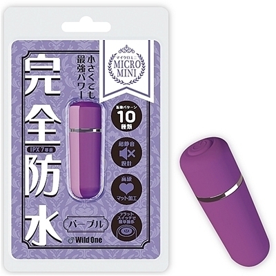 ���S�h���@��΃C�J����}�C�N���~�j�@�i�p�[�v���j�i���[�^�[�j