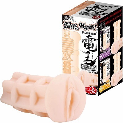 �s�X�g���L���O�d���@��p�z�[���@�i��j�i�I�i�z�[���j