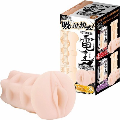 �s�X�g���L���O�d���@��p�z�[���@�i�Q�j�i�I�i�z�[���j