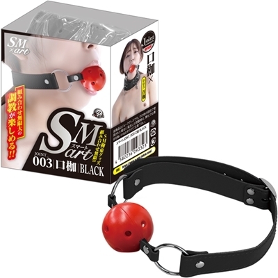 �r�l�������i�X�}�[�g�j�@�R�@���iSM�E�S����j