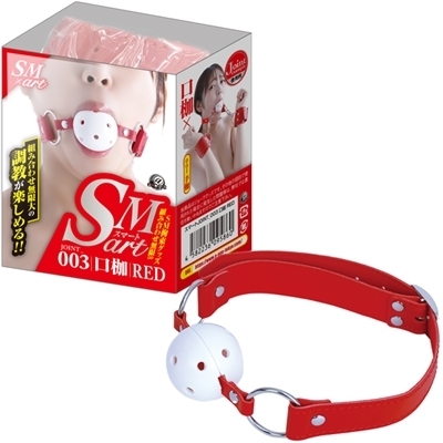 �r�l�������i�X�}�[�g�j�@�R�@�ԁiSM�E�S����j