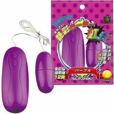 ���ʃ��[�^�[�����@�p�[�v���i���[�^�[�j