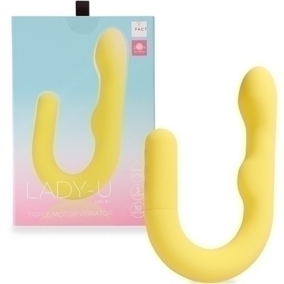 �k�������@�t�@�i�C�G���[�j�i�o�C�u�j