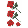 �^�g�D�[�V�[���@�K�N���(�^�g�D�[�E�h�V�[��)