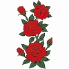 �^�g�D�[�V�[���@�K�N�O��(�^�g�D�[�E�h�V�[��)