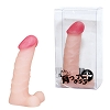 �����A���u�@�i�r�j(�������E�f�B���h)